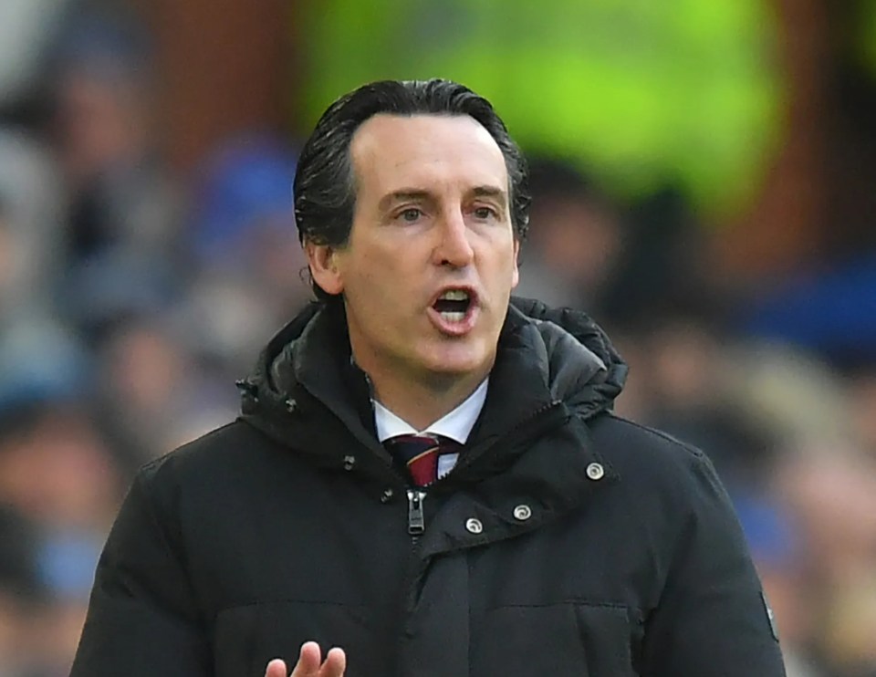 Emery hopes to bring in a versatile forward and a right-sided defender in January