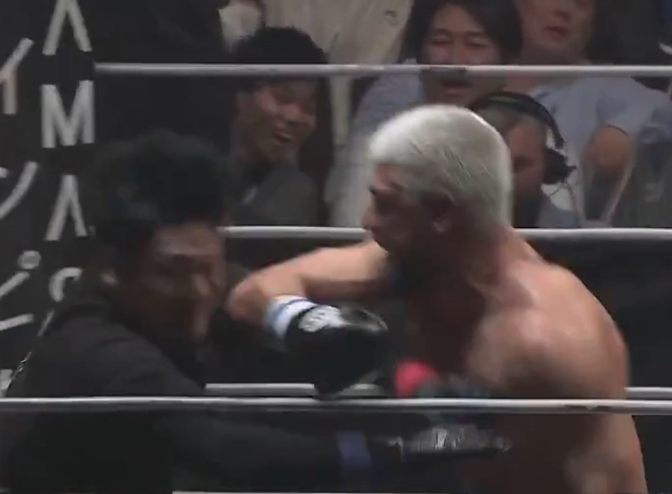 The referee incredibly stayed on his feet after the two blows