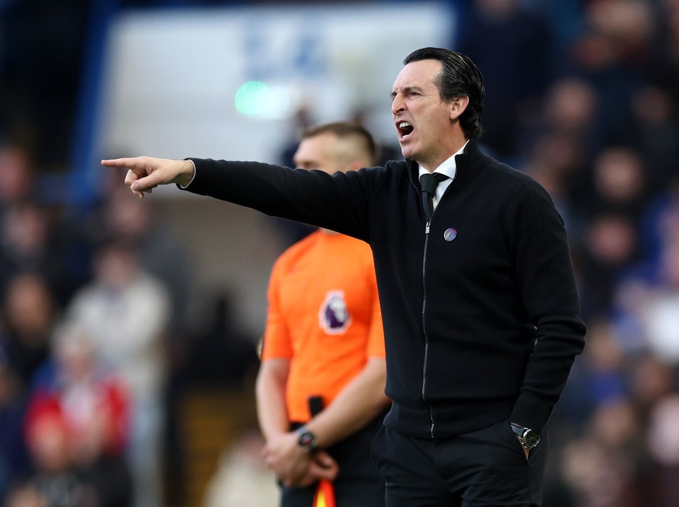 Unai Emery is in need of a versatile attacking option to reduce the load on Leon Bailey